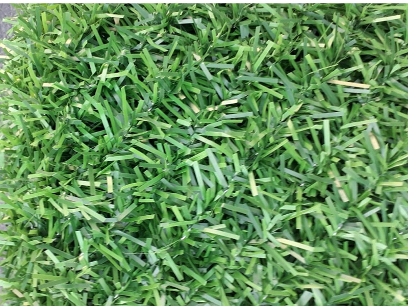 Çift Renk Yaprak Çit